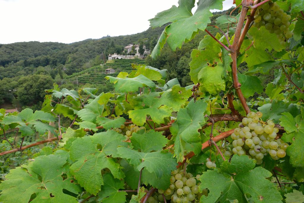 Agriturismo Crodi Miane Buitenkant foto